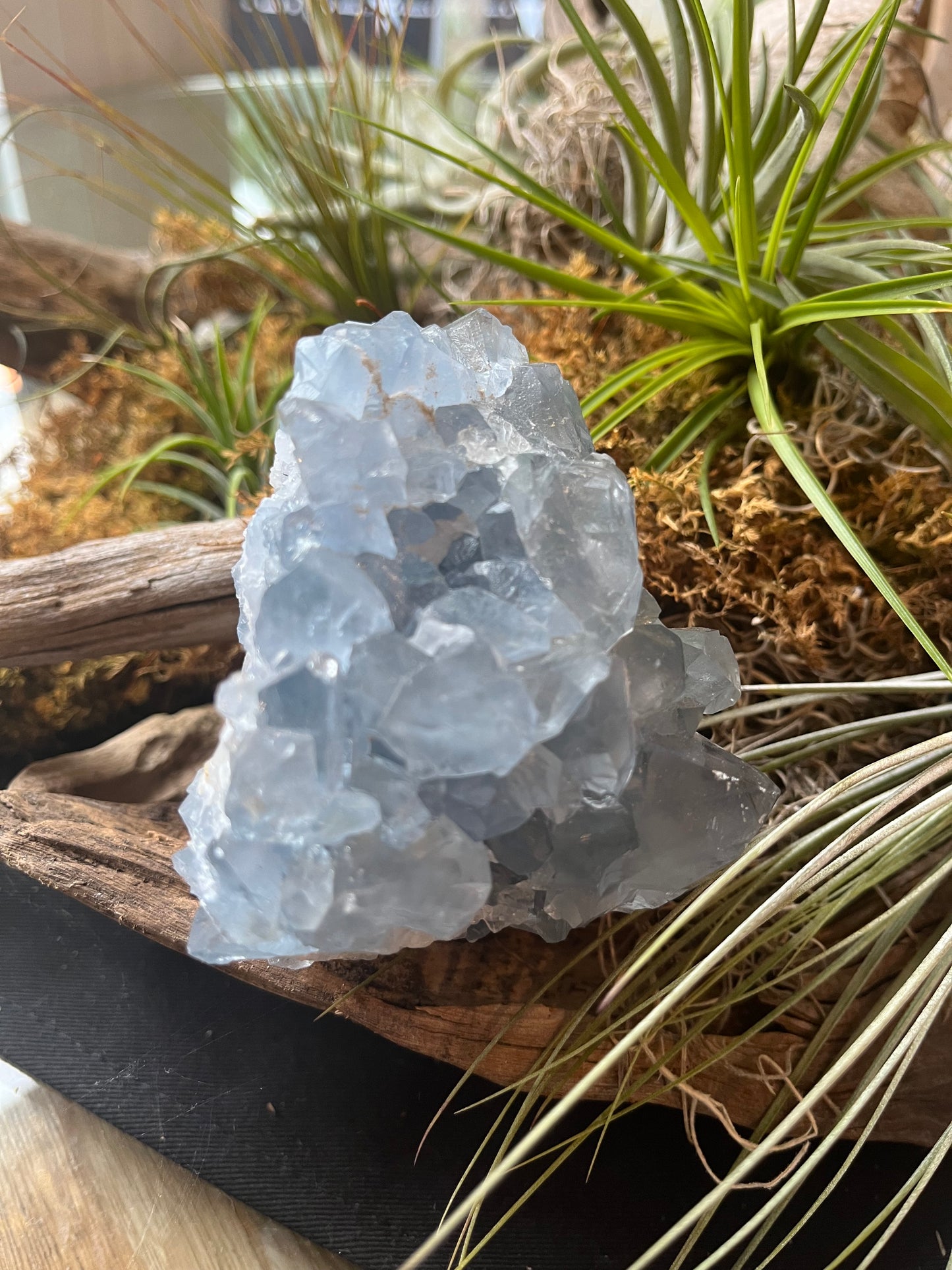 Celestite Cluster